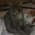 Elizabeth Barnette's profile image