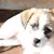 Ziggy Gallardo's profile image