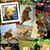 Joanne MacDonald Bailey's profile image