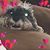 Tina Zimmer's profile image