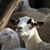 Da Le Ranch's profile image