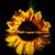Elizondo Leticia's profile image