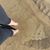 Brinda Schendel's profile image