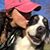 Amanda Falcone's profile image