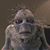 Bill Kimmel's profile image