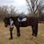 Anne Cooper Sieling's profile image