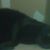 Loretta Garrison's profile image