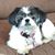 Bev Schewanick's profile image