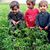 Asad Sahak's profile image