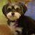 Michelle Williams's profile image