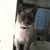 Jenny Peck Ruhland's profile image