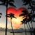 Donna ElwoodBuchin's profile image
