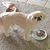 Diane Wilkett Tippitt's profile image
