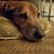 Christy Moyer Ozanich's profile image