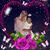 Melissa Jones's profile image