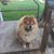Cynthia Wassong Thompson's profile image