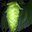 John Kolesar's profile image