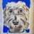 Debra Mitchell's profile image