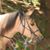 Kim Thornton's profile image