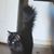 Mindy Elizabeth's profile image