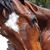 Helen Gerth's profile image