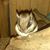 Aj Smith's profile image