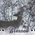 Deb Meder's profile image
