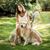 Laurie Pag's profile image
