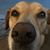 Cory Cronkhite's profile image