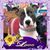 Jean Tucker's profile image