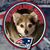 Heather J Stgermain's profile image