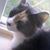 Avis DeLano's profile image