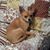 Betty Allen's profile image