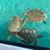 Sue Estes Mastin's profile image