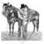 Ronda Fischer's profile image