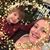 Maria Cowart's profile image