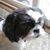 Patti Pountney's profile image