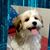 Coco Channel's profile image