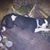 Shelly Bittle's profile image