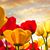 Donna Mary's profile image