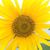 Darlene Cochran Wooders's profile image