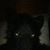 Mace Black's profile image