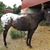 Linda Anderson's profile image