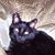 Cynthia Clayworth's profile image