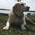 Karen Guy Morris's profile image
