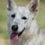 Melissa Peters's profile image