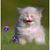 Jeri Starcher's profile image