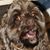 Daniel Eversole's profile image
