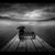 Teresa Monahan's profile image