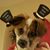 Cynthia M Cuevas's profile image
